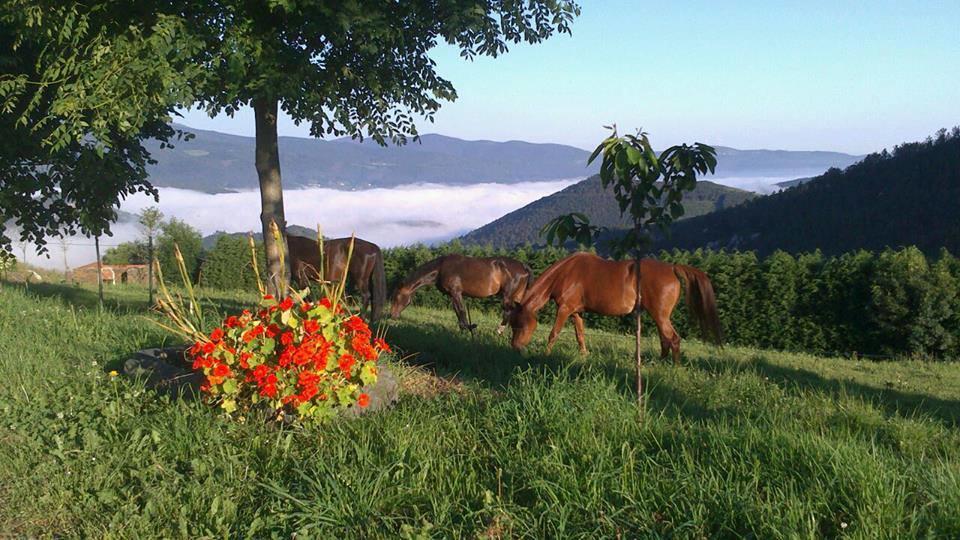 Hotel Rural Yeguada Albeitar Villayón 外观 照片